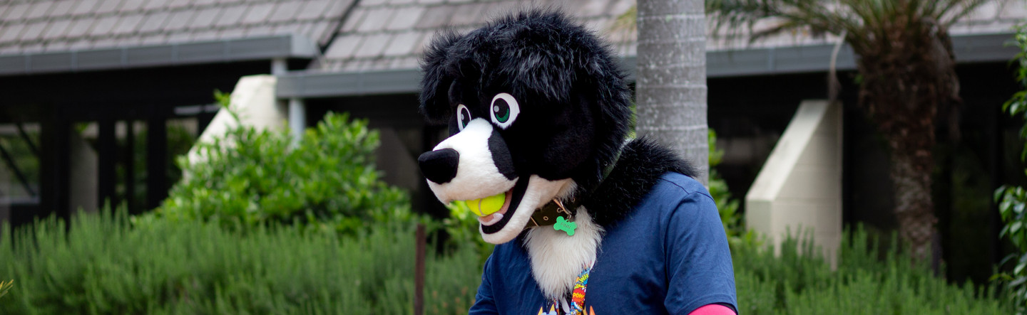 FurcoNZ Hotel 2025: Annoucement