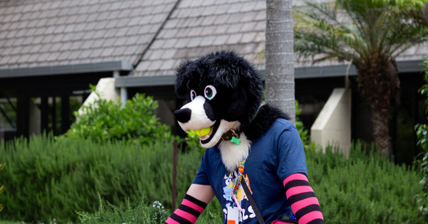 FurcoNZ Hotel 2025: Annoucement