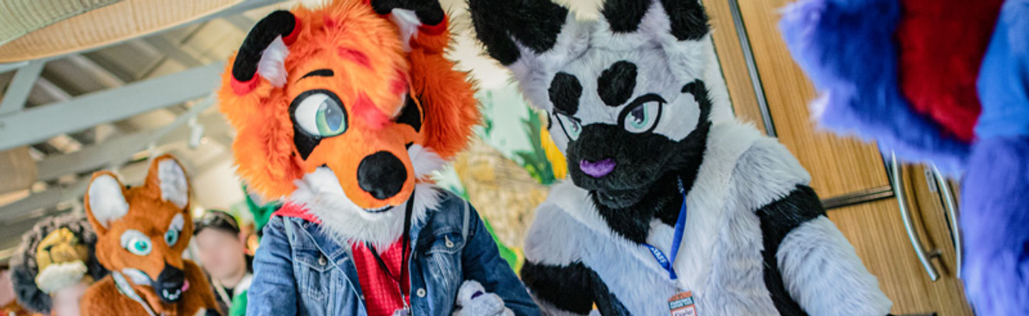 FurcoNZ Hotel 2024: Convention Report!